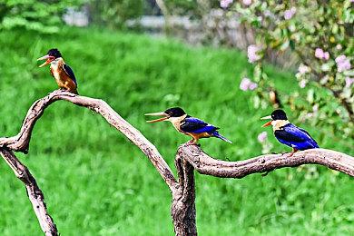 《饿狼》新作二测就结束了？网友已经有戒断反应了