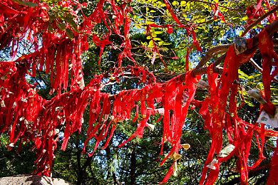 几经波折《Dark and Darker》终于进入抢先体验